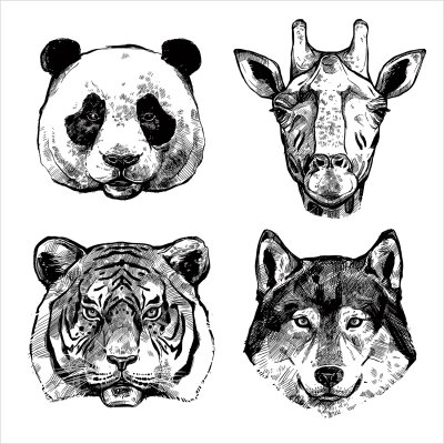 постеры Рисунки животных