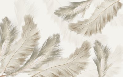 фотообои Светлые перья