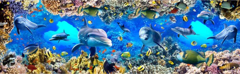 фотообои Панорамный аквариум