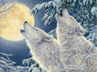 фотообои Снежные волки