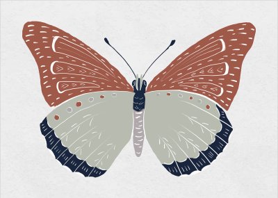 постеры Скандинавская бабочка
