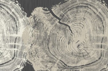 фотообои Рисунок древесины