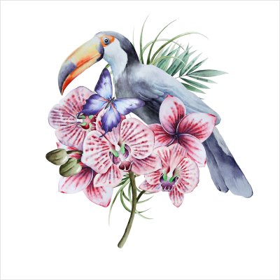 постеры Тропическая птица