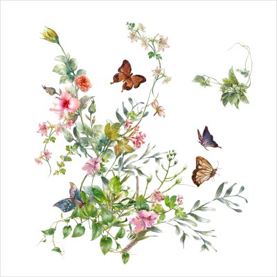 постеры Травы и бабочки