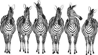 фотообои Нарисованные зебры